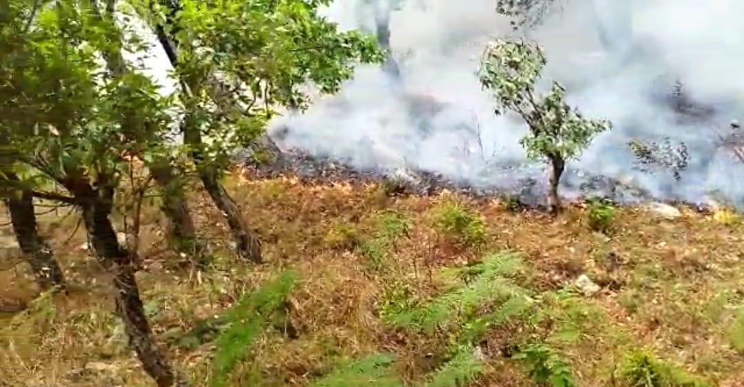 Forest Fire in Pithauragarh