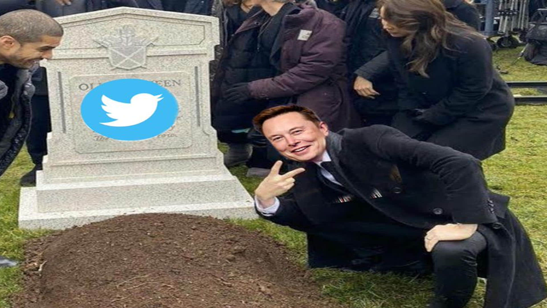Elon musk buy twitter takeover deal trending funny meme social media reactions