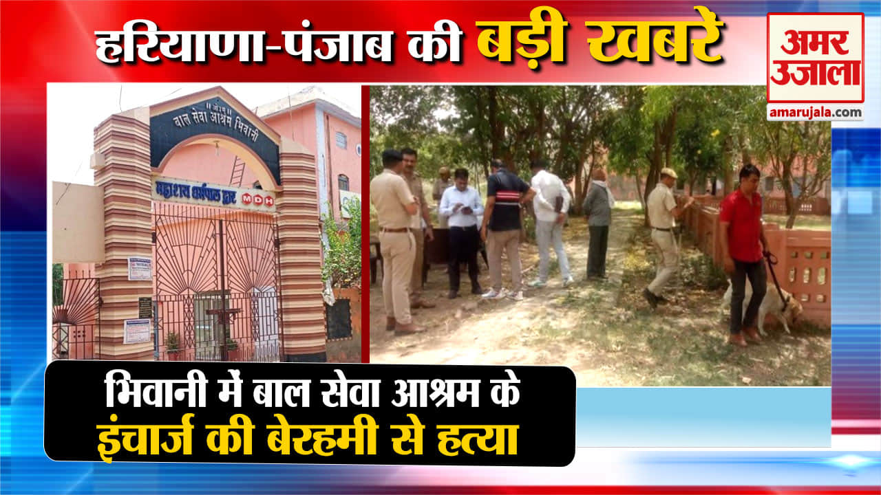 हरियाणा न्यूज