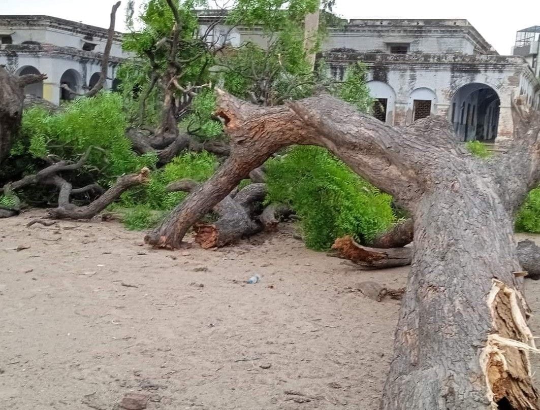 Hathras: Trees and hoardings uprooted due to strong storm