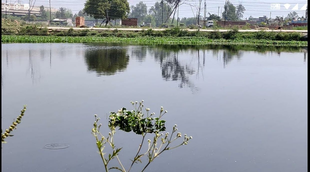 150 ponds will be beautified under Amrit Sarovar Yojana