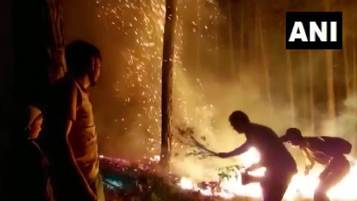 fire breaks out in Dhanoda forest area in Pithoragarh dm Ashish Kumar Chauhan made master plan