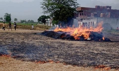 10 bighas of wheat crop burnt due to fire
