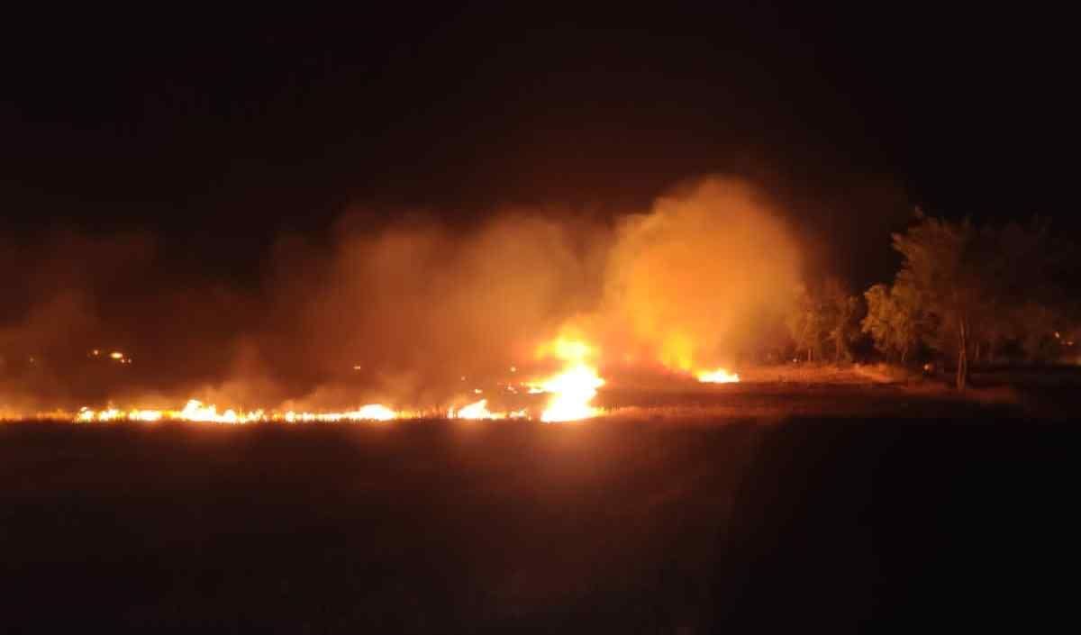 Strong wind caused fire in 40 places including sugar mill, cane crop ashes in Sampla
