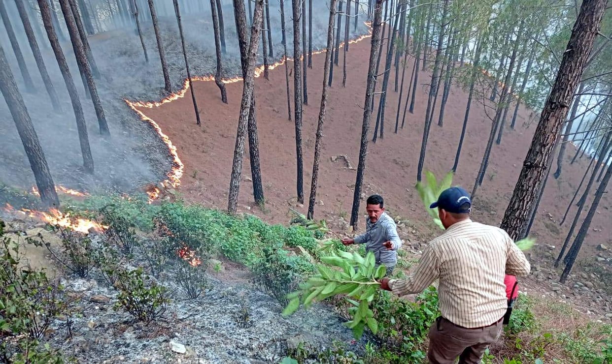 Students and villagers put out forest fire