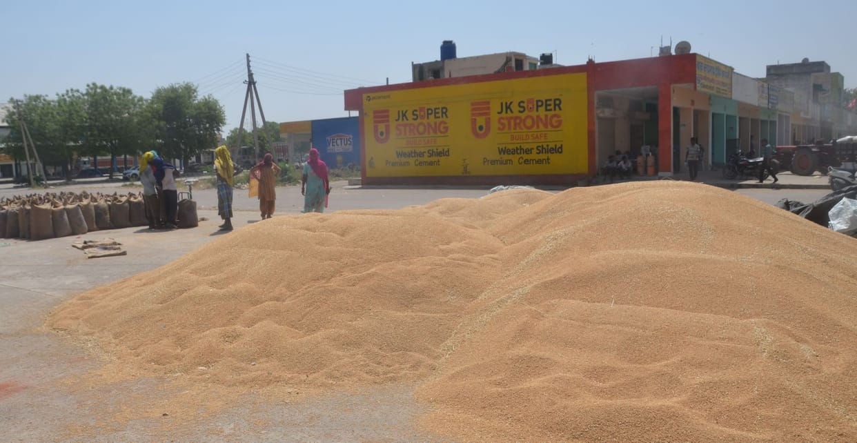 Wheat procurement: Farmers did not reach six centers, only two arrived
