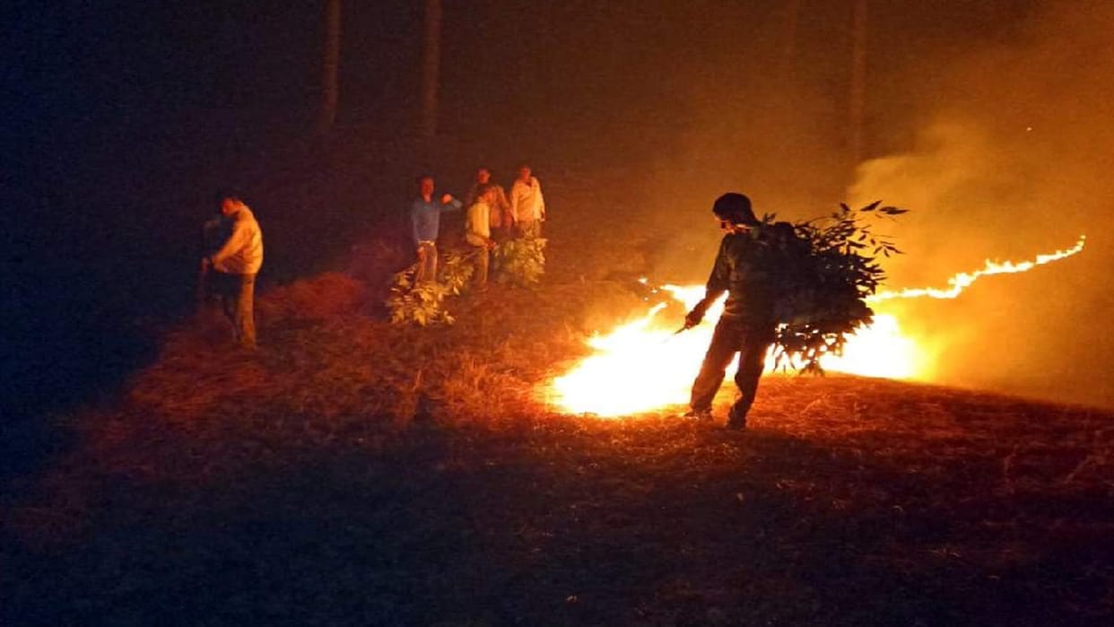 Forest fire is wreaking havoc in Garhwal-Kumaon divisions, highest number of cases in this season