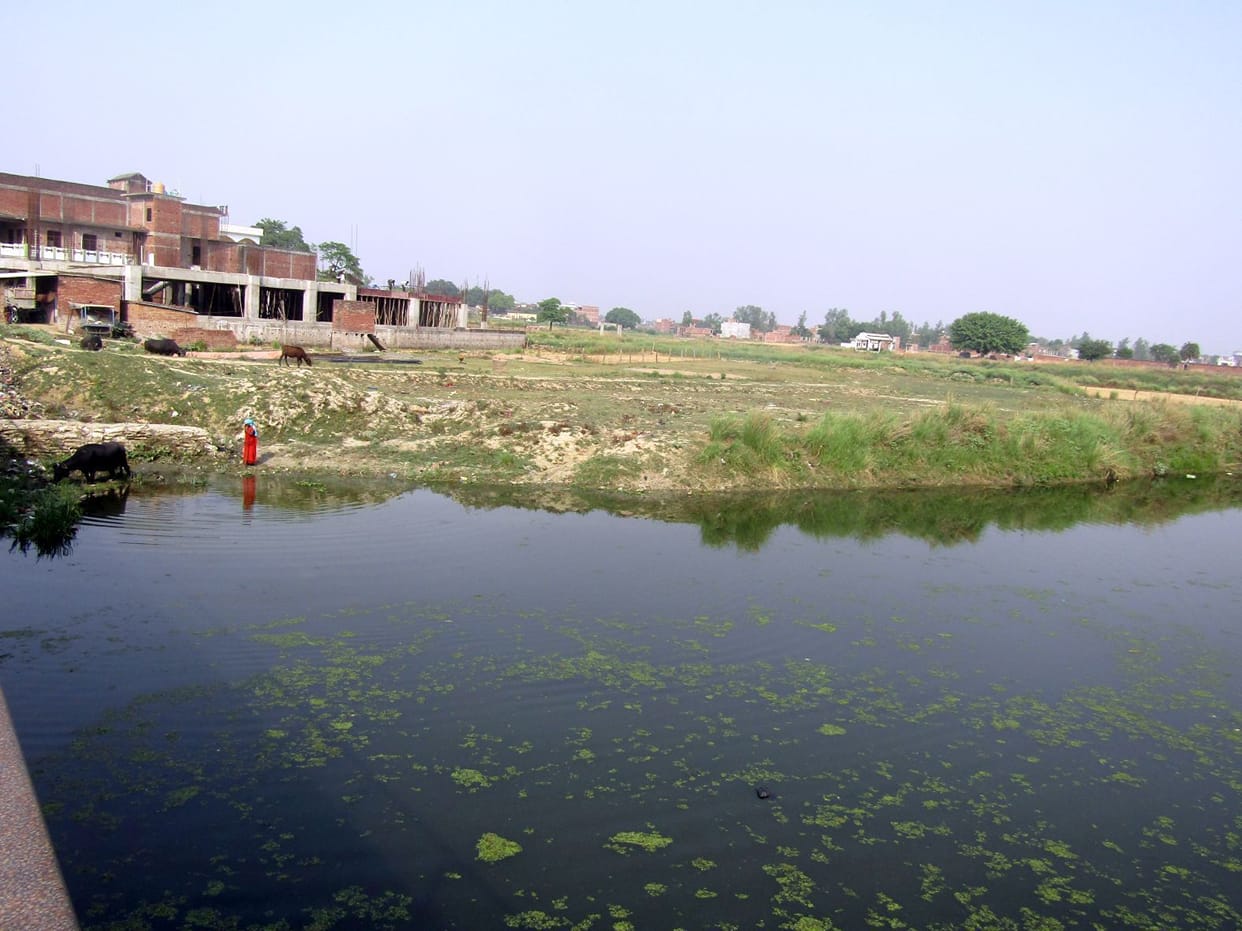 550 houses erected illegally
