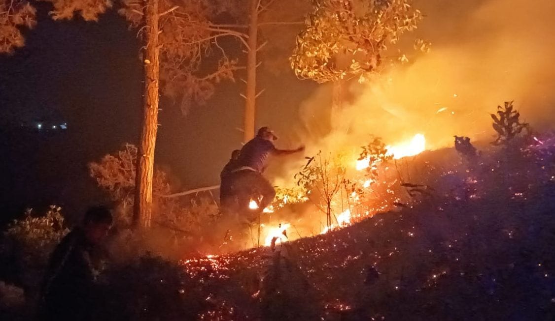 Forest Fire in Champawat