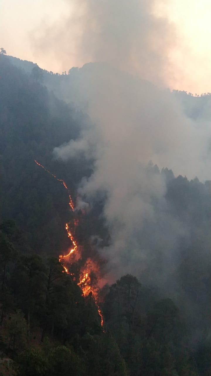 Case filed against 25 unknown people for setting forest on fire