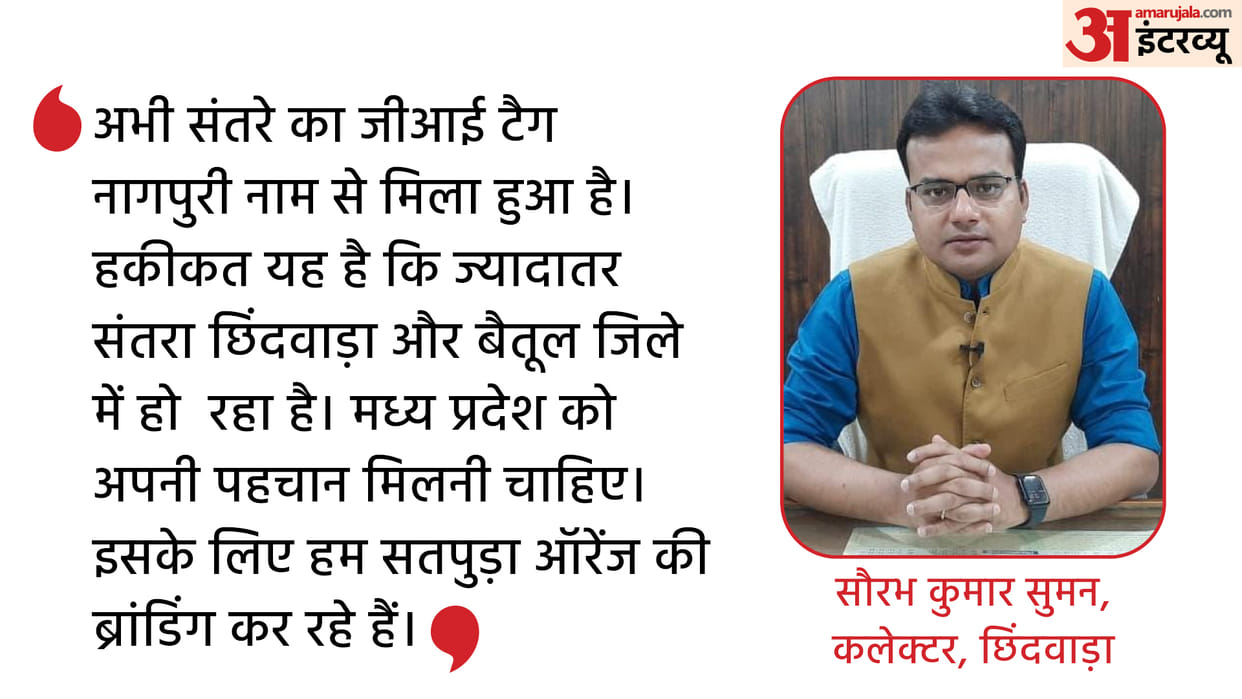 Interview: Chhindwara DM Saurabh Suman said that the state's orange will be known as 'MP Satpura Orange', will also be sold on Amazon