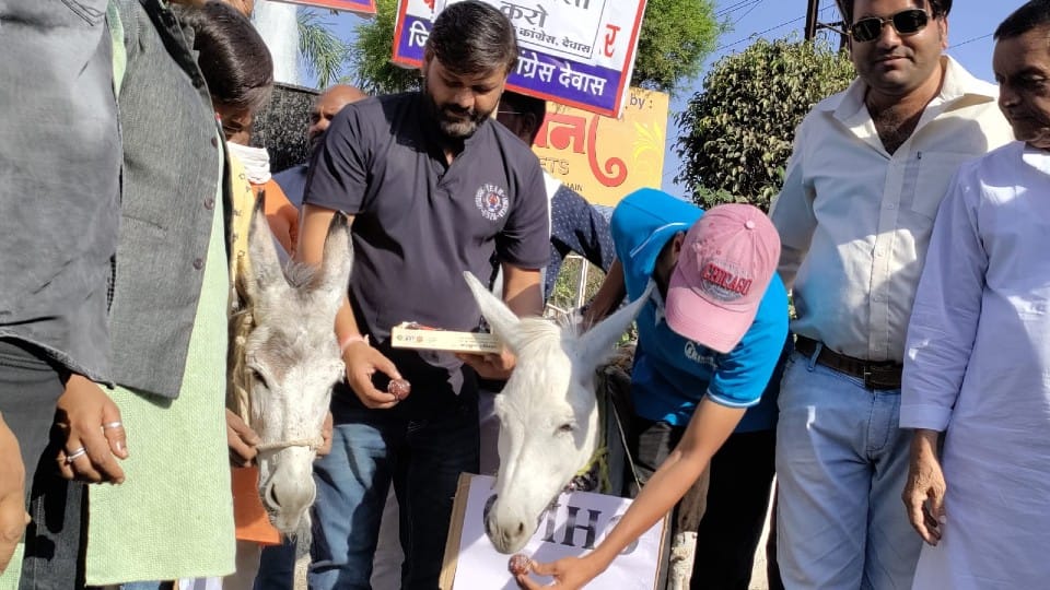 गधे को गुलाब जामुन खिलाते युकां पदाधिकारी व कार्यकर्ता