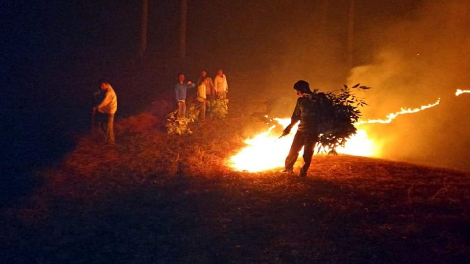 horrific forest fire in uttarakhand 227 places blazed in 24 hours 2400 hectares of forest area burnt so far
