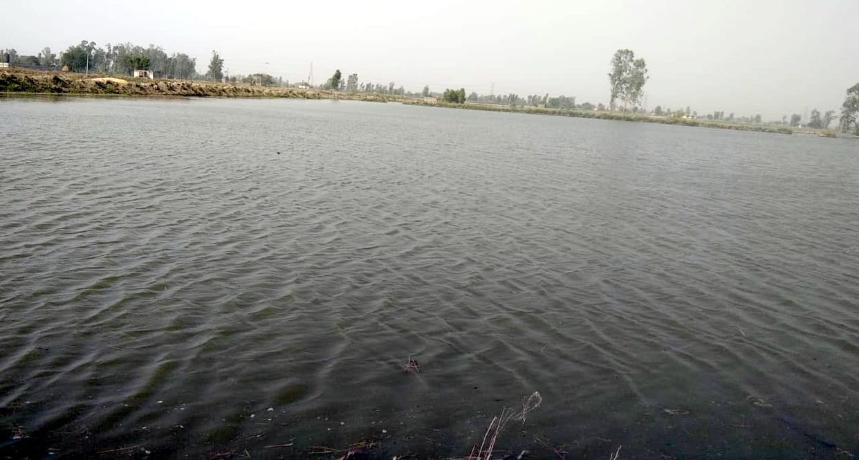 Mamaur lake broken due to overflow, water filled in the fields