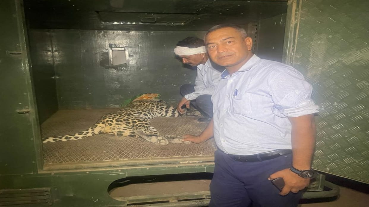 panther attacked on farmer in Tonk forest department caught panther after four hours