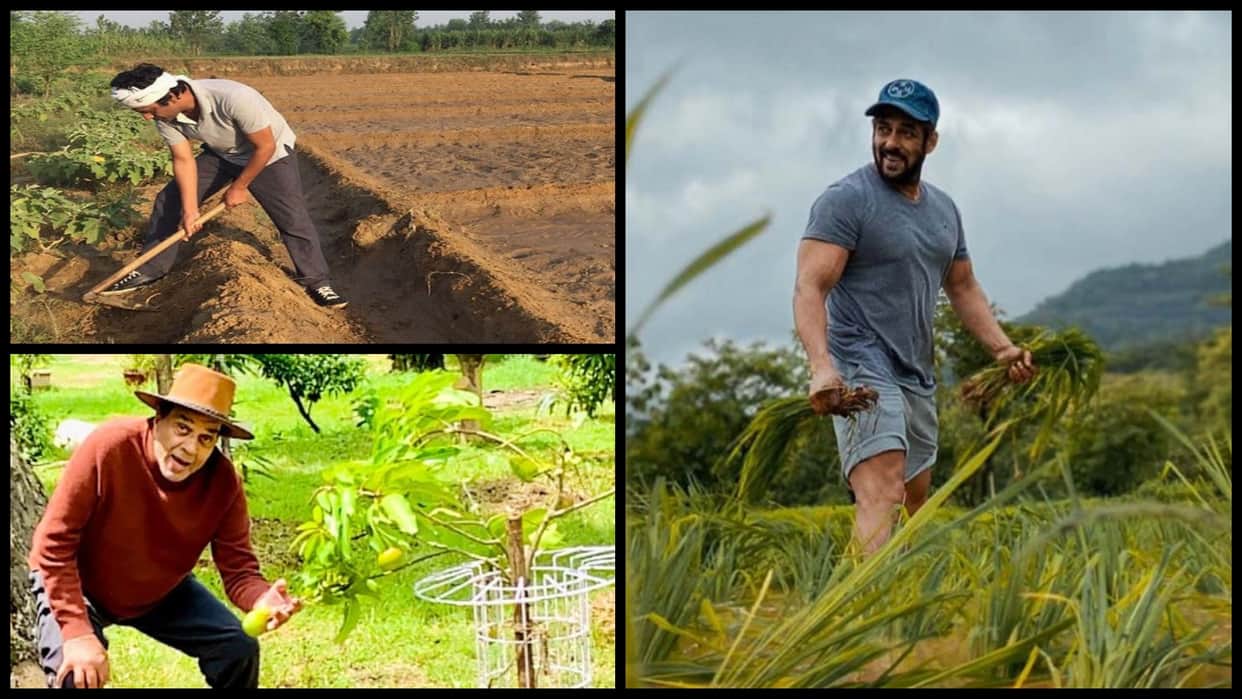 know about Those Bollywood Stars who Have Interest in Gardening Along with Acting like Kangana Ranaut Shipa Shetty R Madhavan