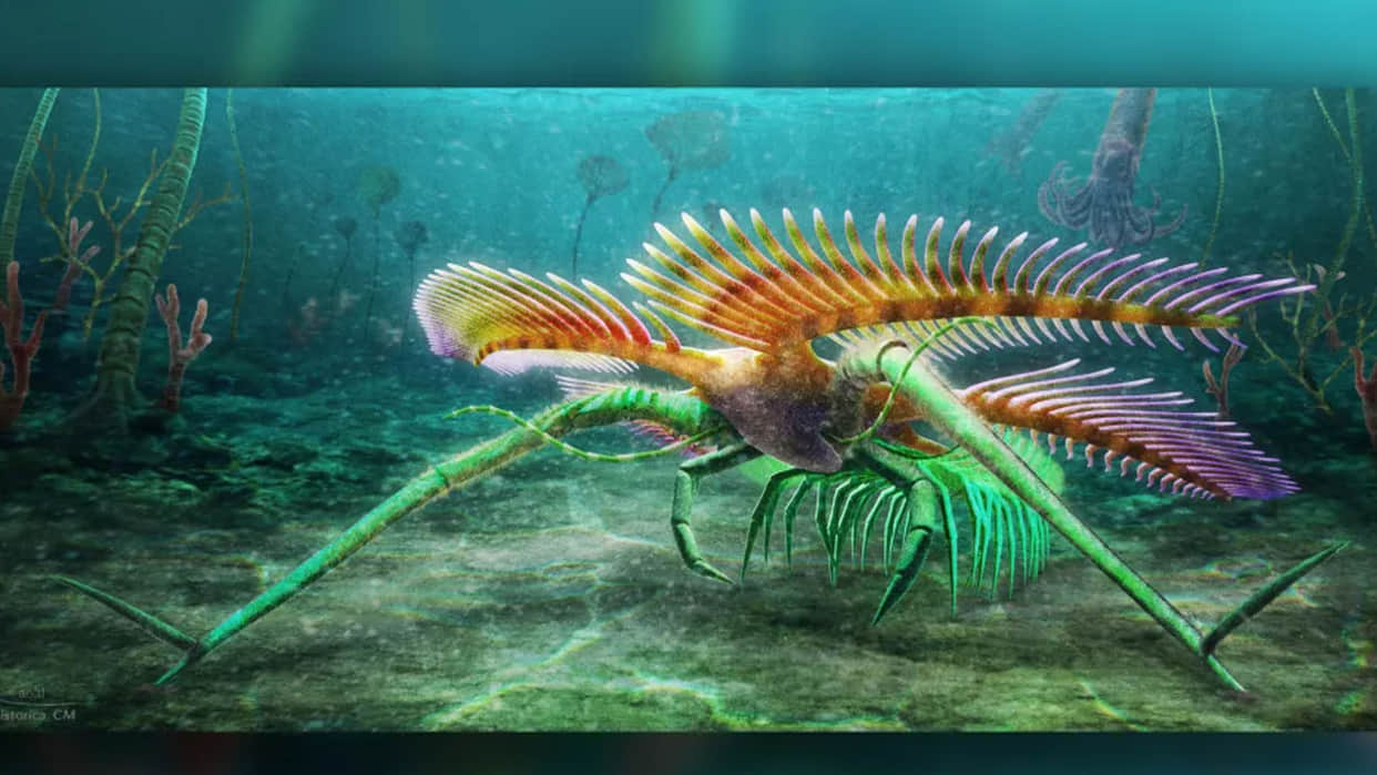 Scientists Found Oldest Mysterious Creature Without Eyes News in Hindi