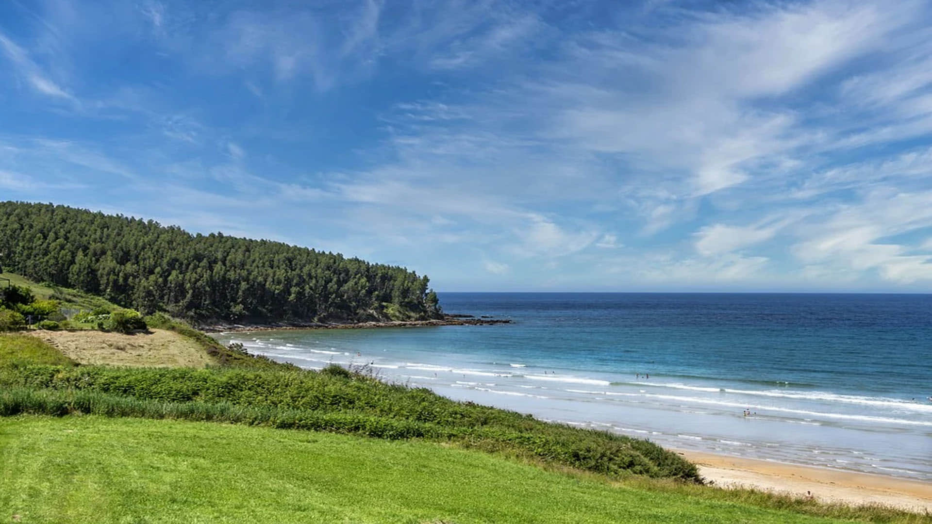 Mysterious Creature looking like alien bag found in pacific ocean sea