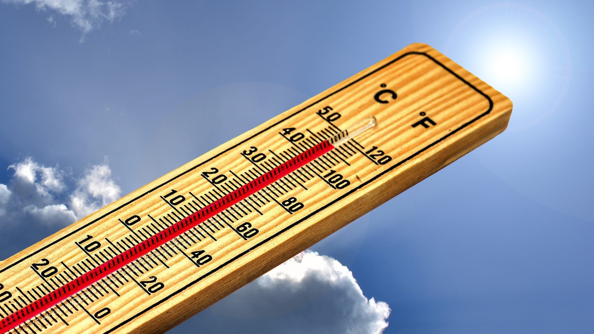 heatwave affecting overall health can heat stroke cause liver failure in hindi