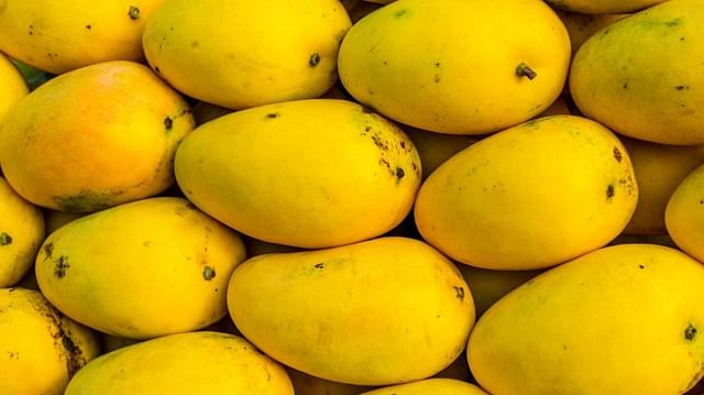 Which Fruits Have the Most Sugar and how it affects health, know mangoes pomegranates side effects