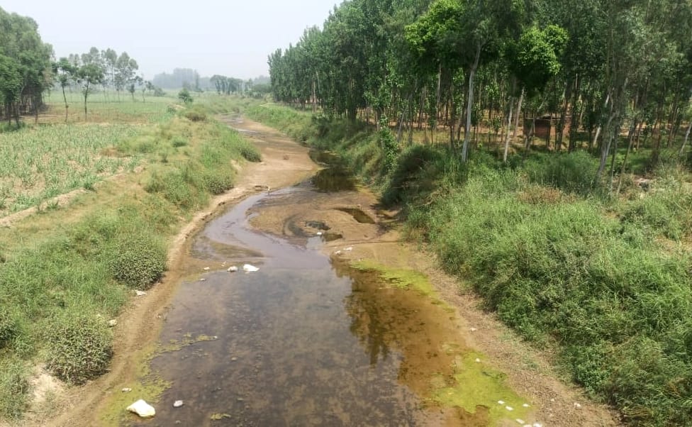 The land mafia gave Malan's land on contract
