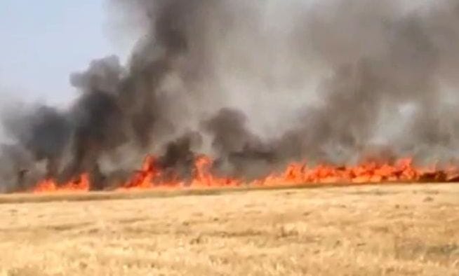 hardoi news,The ashes are getting tired of the fire, efforts will have to be made to save the crop.