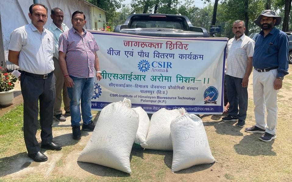 mandi news, himachal news, earn rupees, jangli genda, production