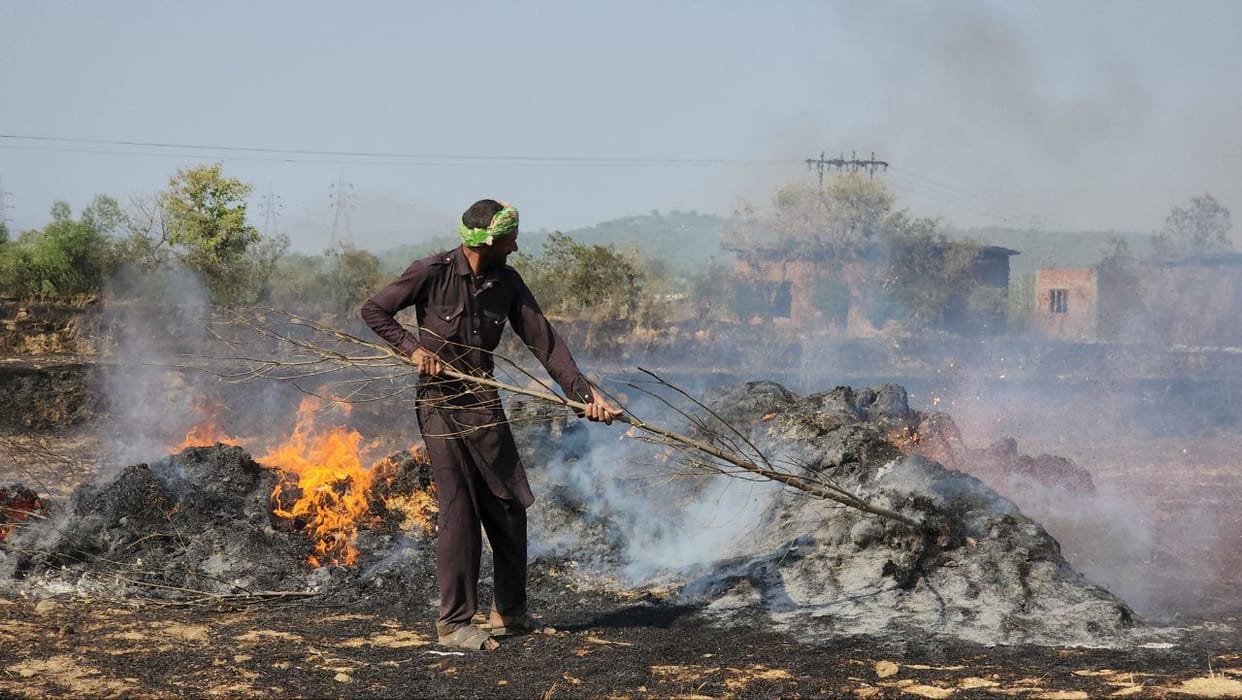 Forest wealth and crops were burnt to ashes due to fire