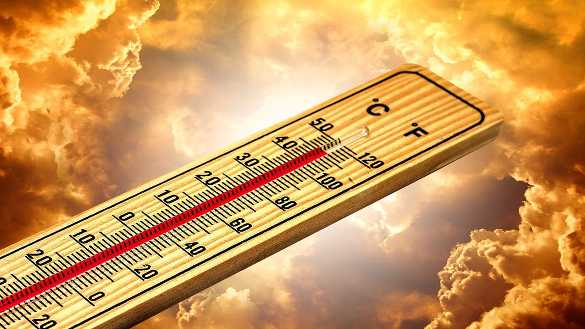 nasa warning year 2024 will be more hotter appeals for taking precautions