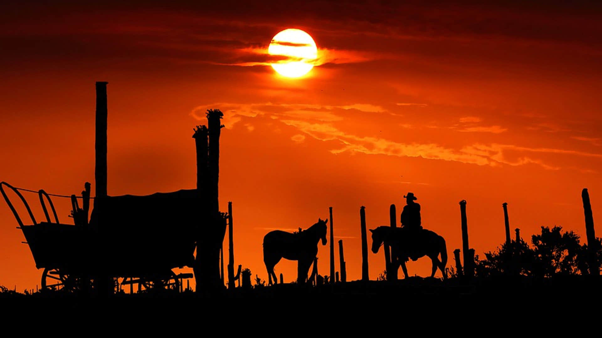 India Pakistan Heat Wave Warning Know What Scientist Said News in hindi