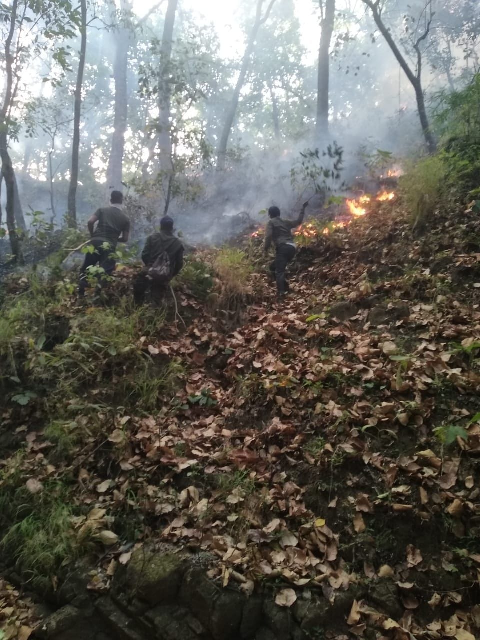 Forests of Laldhang and Kotri range burning for two days