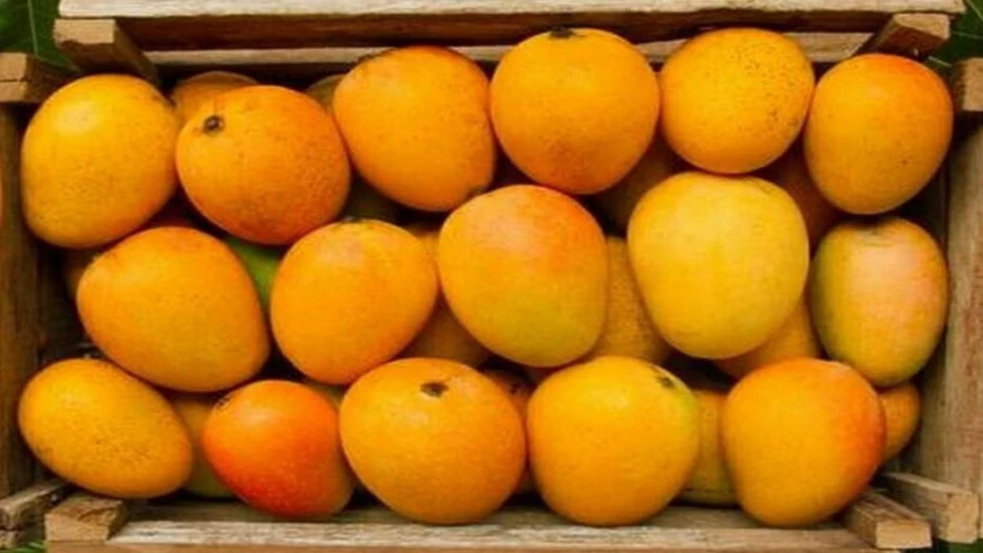 How To Identify Sweet Mangoes Know Simple Tips and Tricks in Hindi