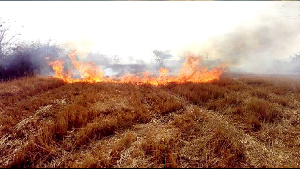 Chhatarpur: Innocent scorched in Narwai fire, 75 percent burnt due to flames while going to farm with grandmother, treatment continues