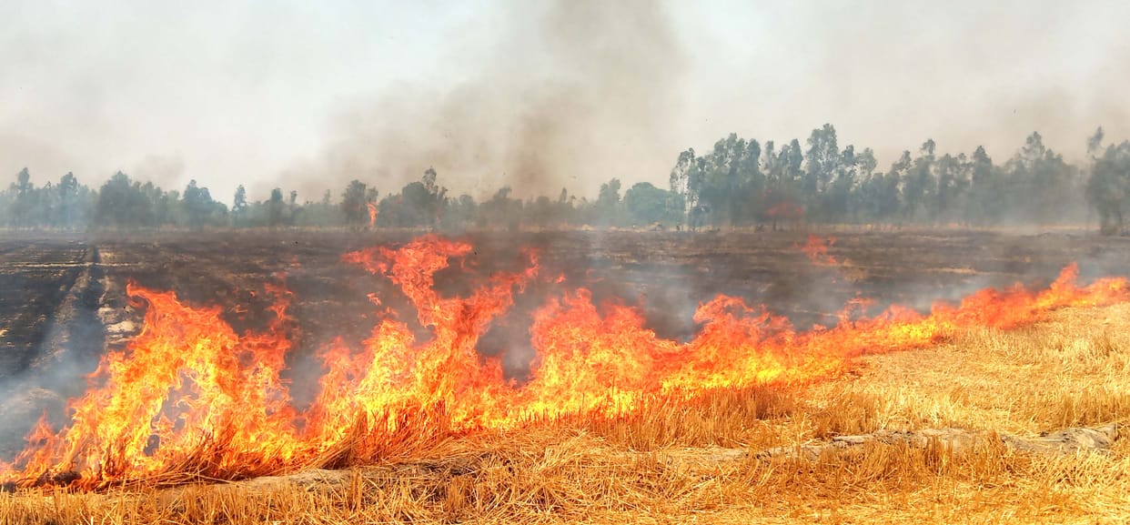 The fire in Narai moved from the wind towards the village