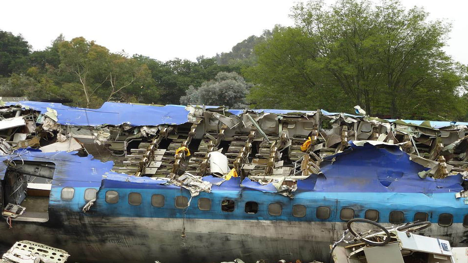 Plane Crashes Due to Pilot Error 66 People Died Know About Disclosure Behind Investigation News in Hindi