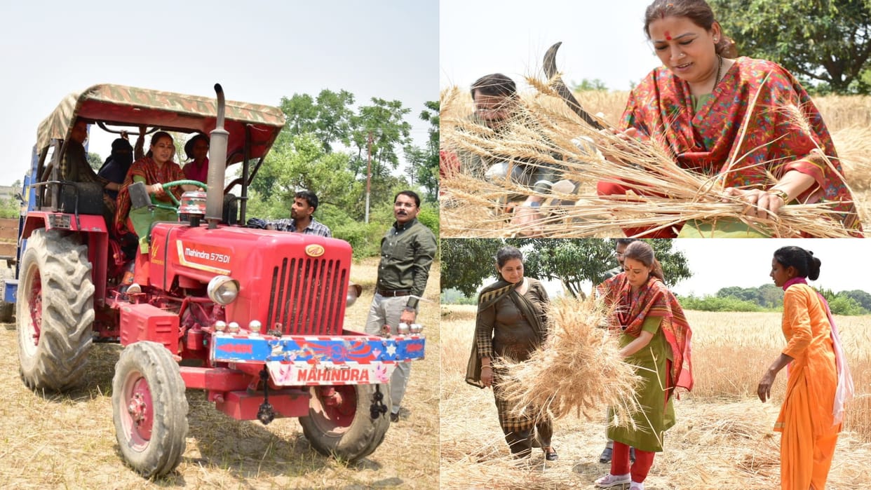 Cabinet Minister Rekha Arya harvested wheat with women, sitting in tractor, See photos
