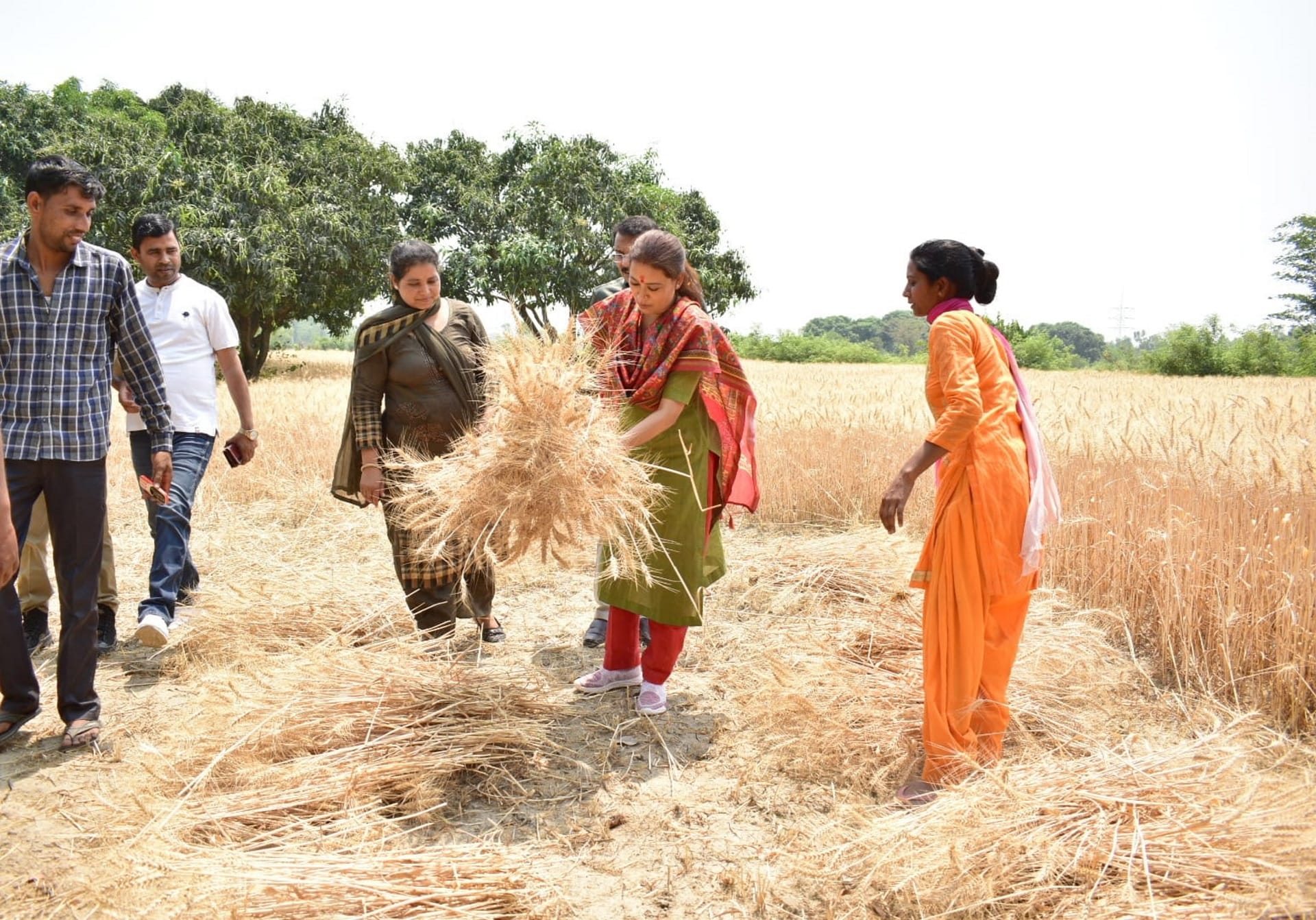 Cabinet Minister Rekha Arya harvested wheat with women, sitting in tractor, See photos