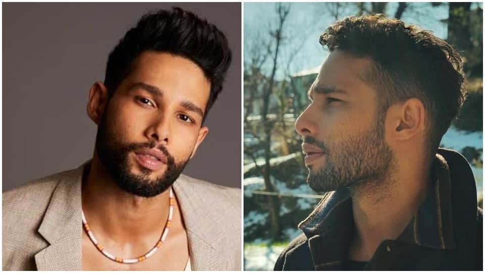 Siddhant Chaturvedi Birthday know lesser facts about gully boy mc sher