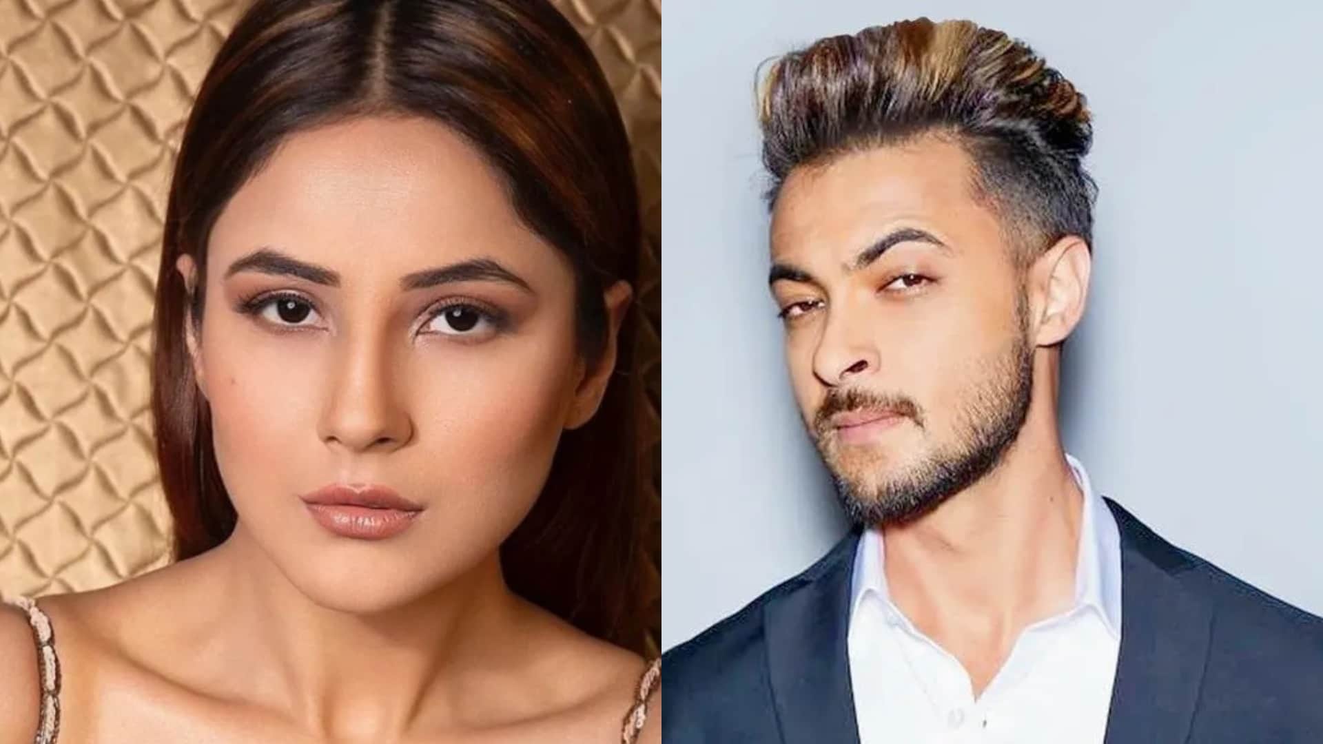 Shehnaaz gill to make her debut in bollywood with salman khan film kabhi eid kabhi diwali