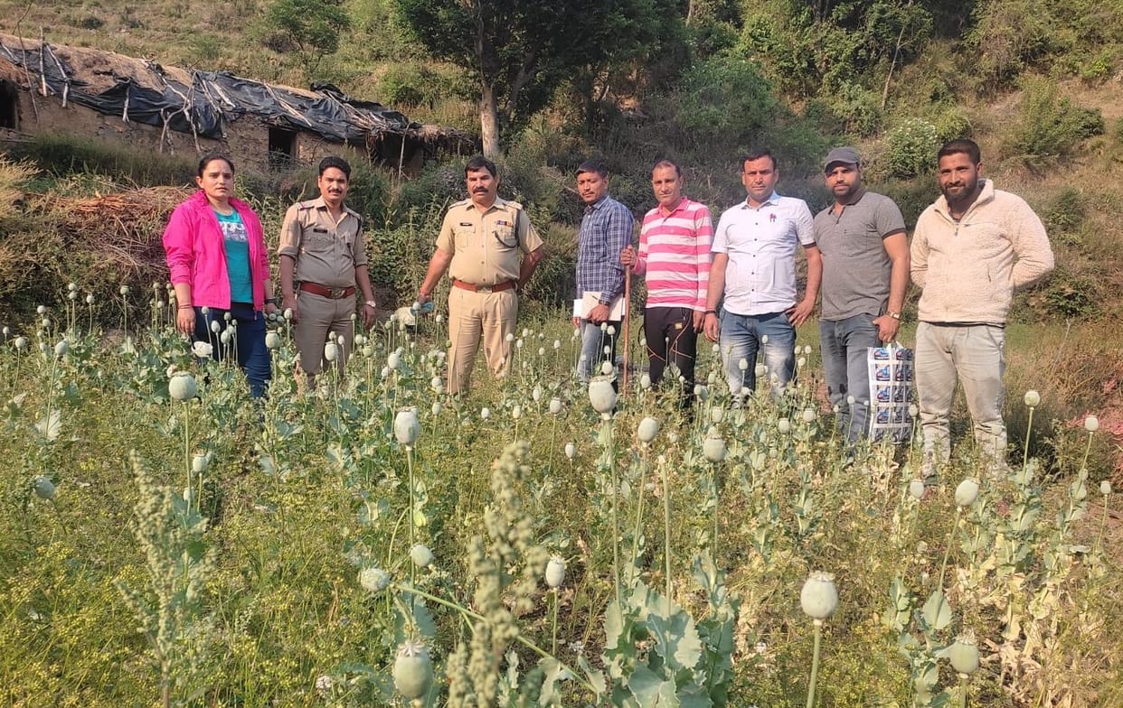 Police destroyed poppy crop in Moonglodi village
