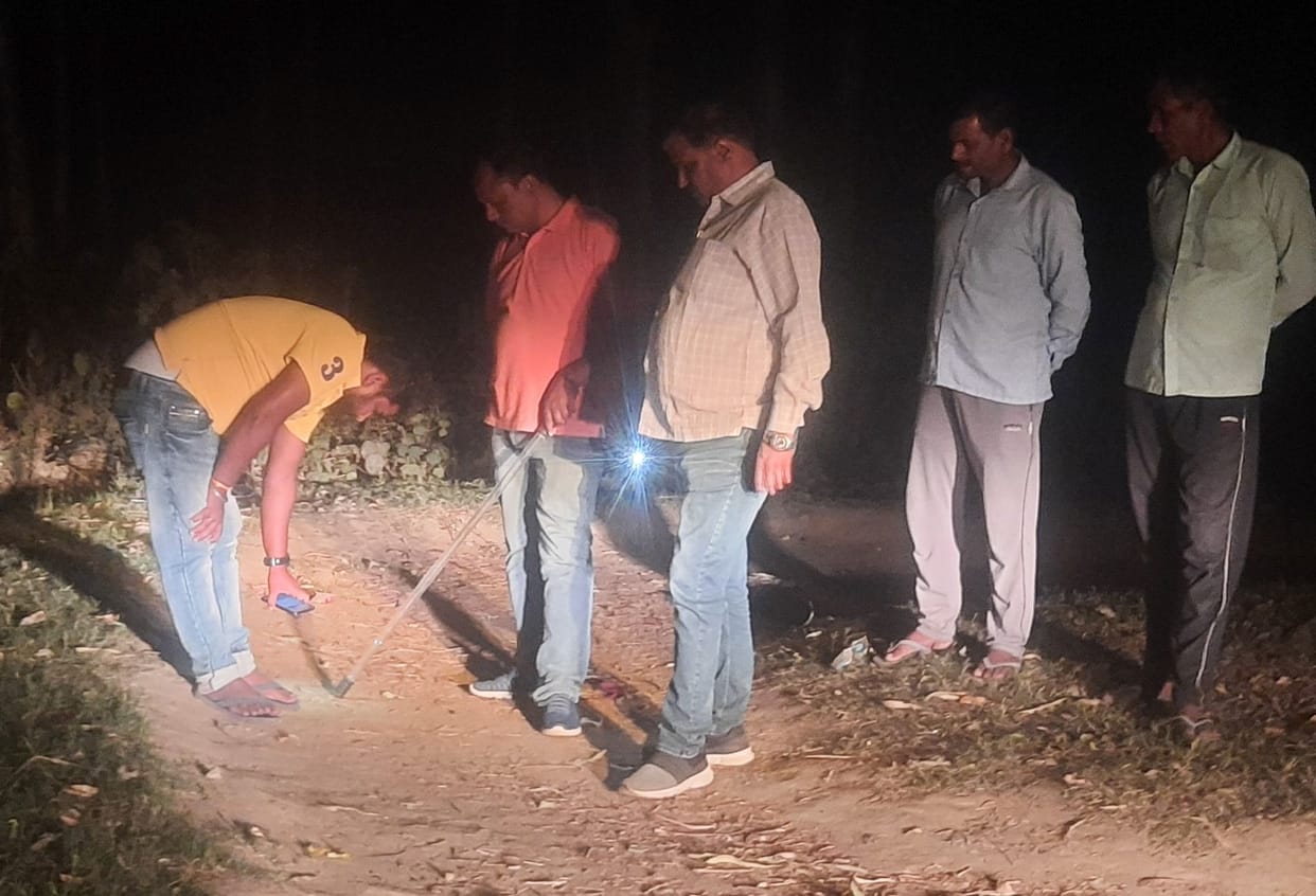 There was a stir due to the sighting of wild animals in Talgaon
