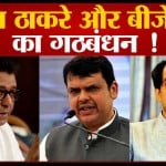 राज ठाकरे