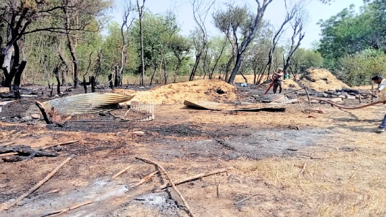 Forest Fire: fires in 719 forests of four thousand hectares in a month in Himachal , heavy damage to forest wealth
