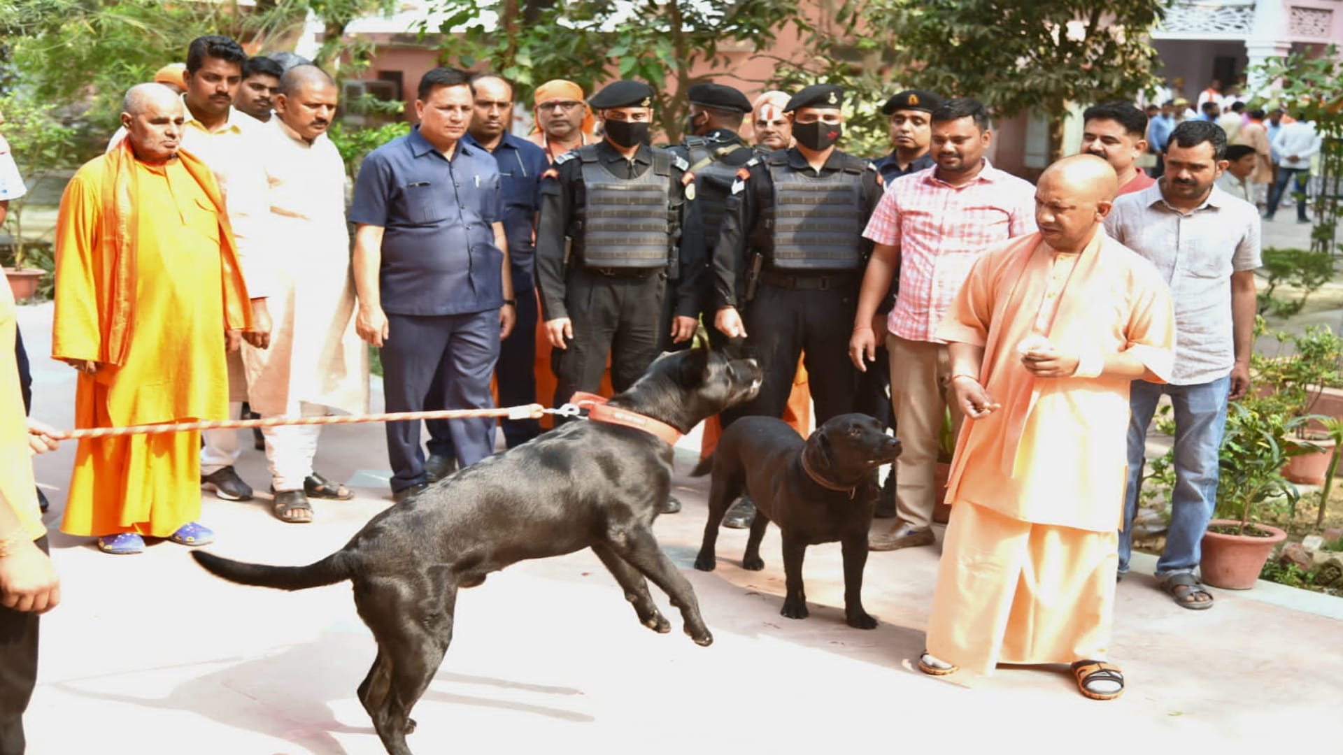 CM Yogi listened to complaints of people in  Gorakhpur janata Darbar