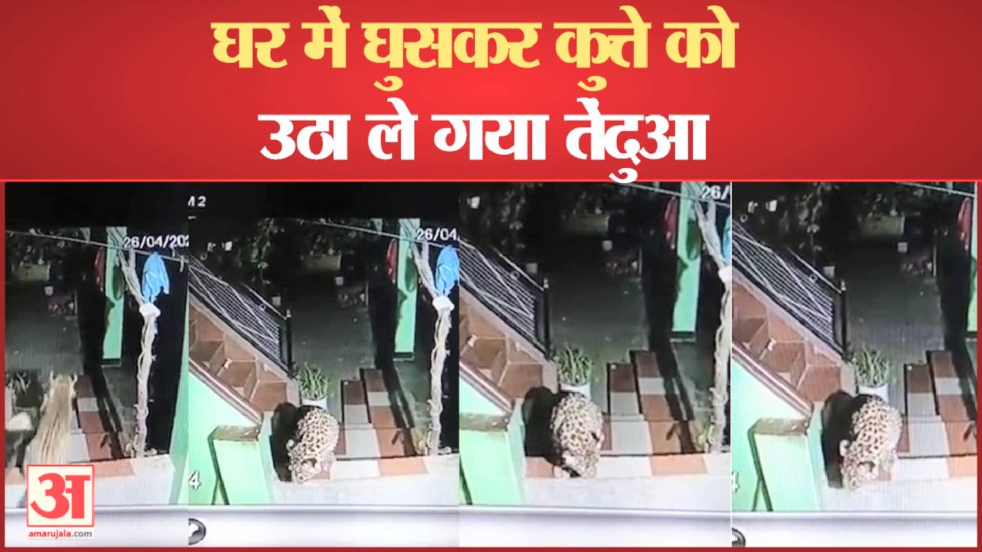 घर से पालतू कुत्ते को उठा ले गया तेंदुआ।