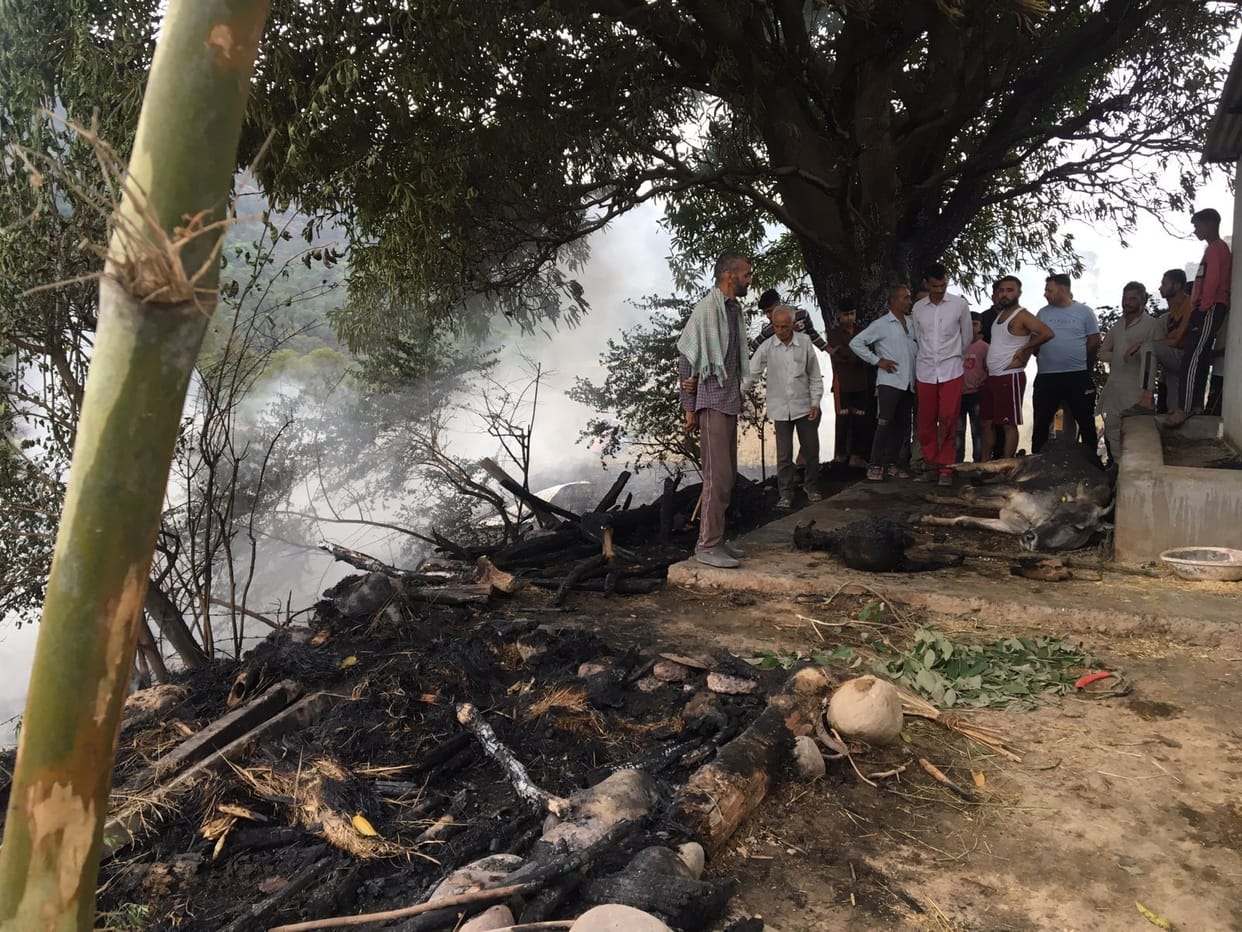Fire in cattle shed, four cattle burnt alive