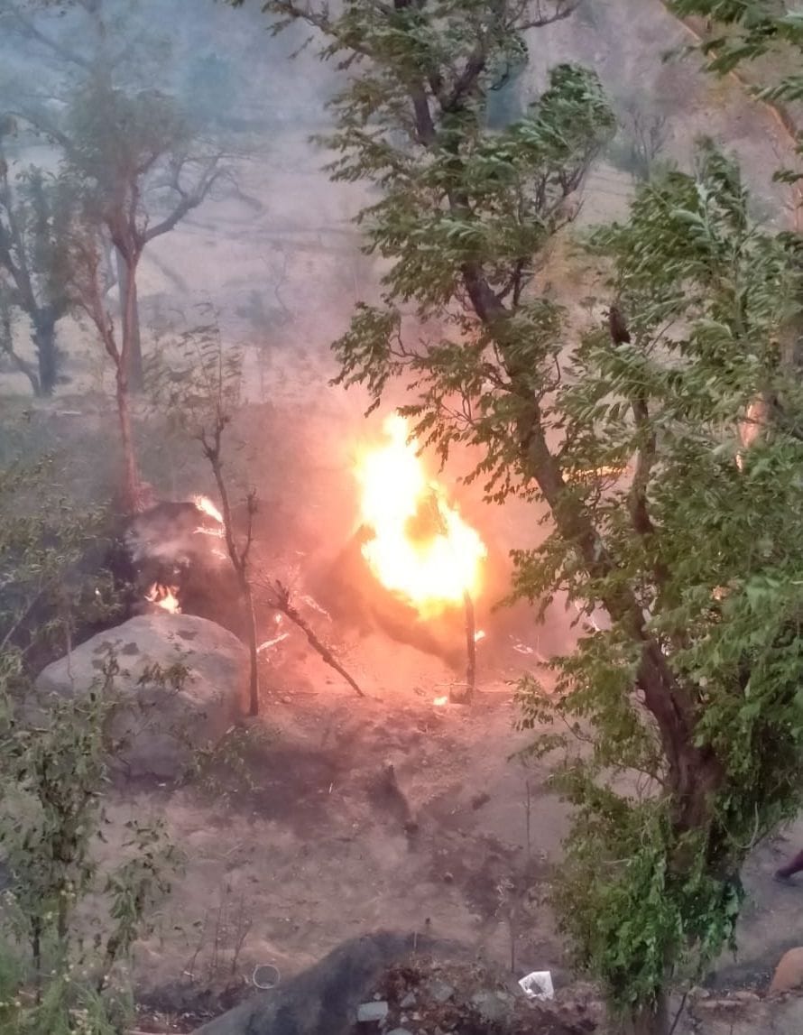 scorched woman extinguishing forest fire