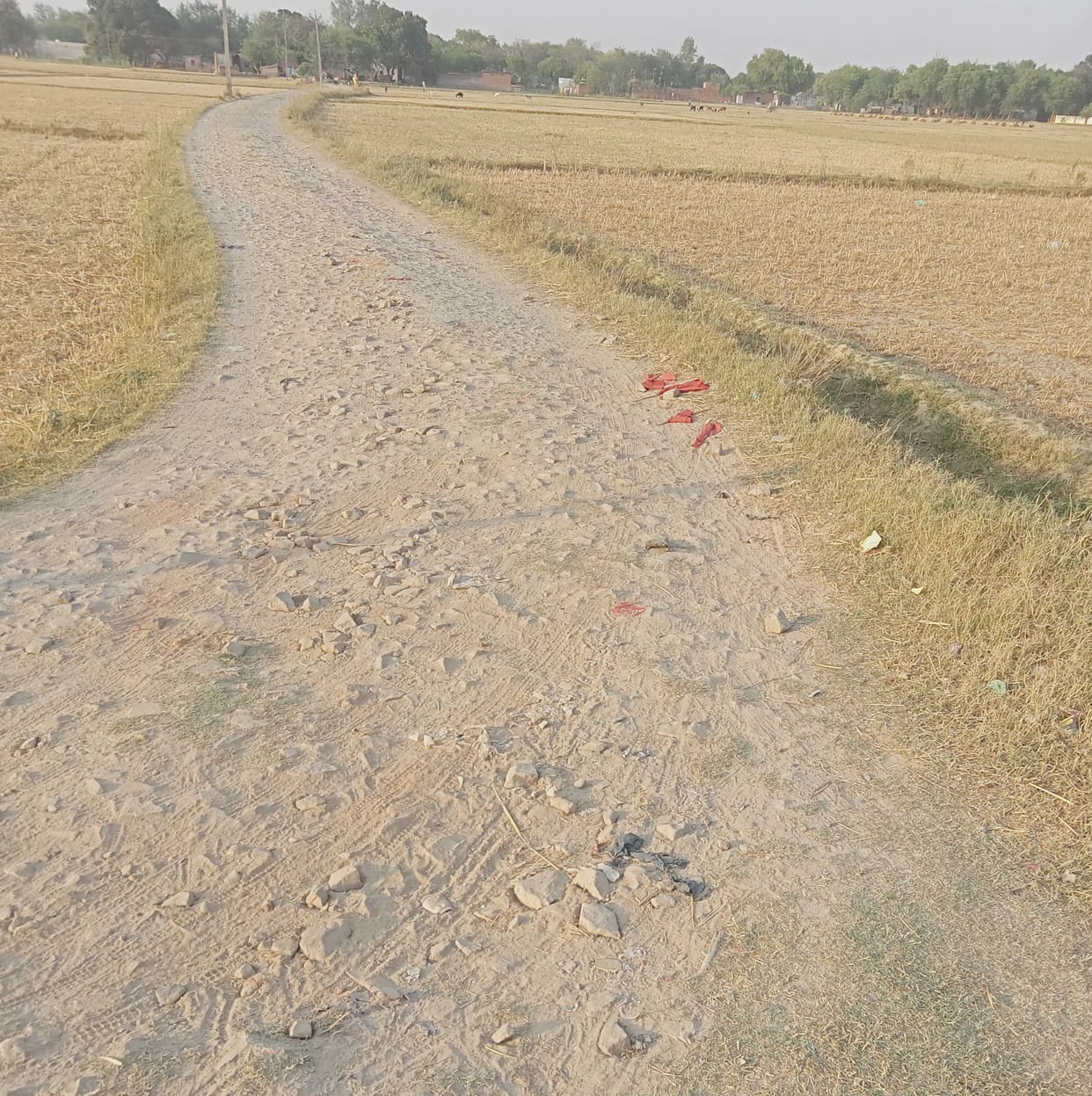 Officers running paper horses, roads did not improve
