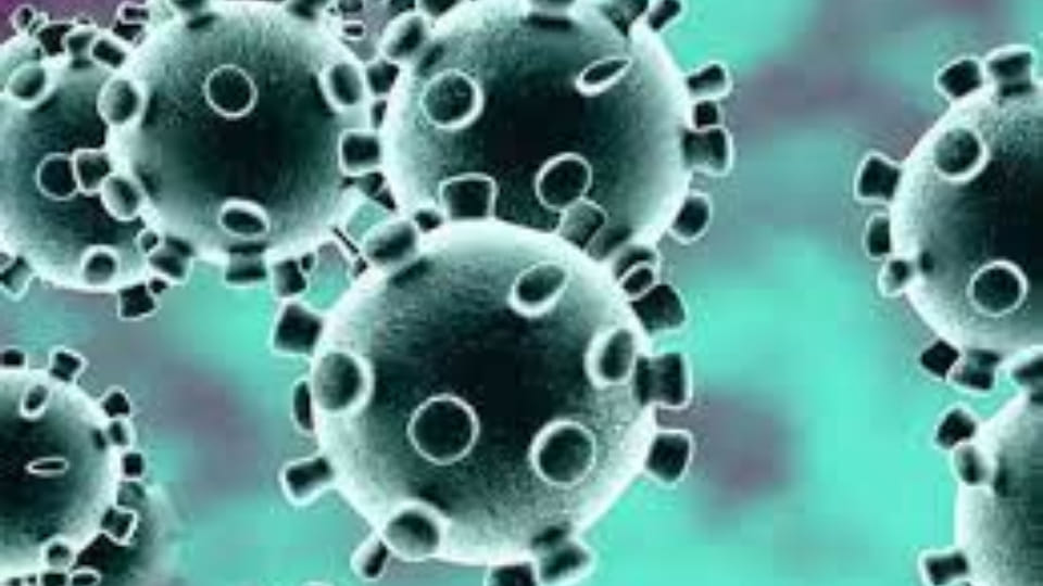 health department increased sampling for covid test in mathura