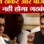 बीजेपी